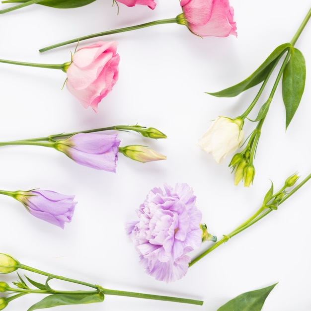 Free photo evenly laid out pastel flowers