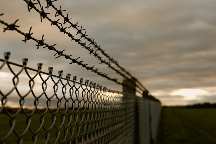 Free Photo everybody is imprisoned in the moment, but there is a silver lining at the horizon.