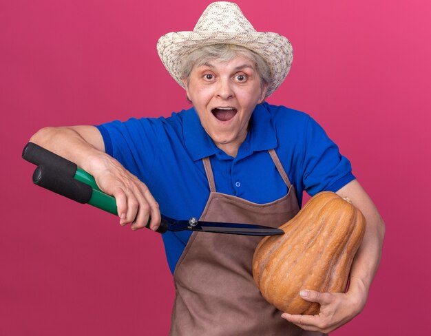 Excited elderly female gardener wearing gardening hat holding gardening scissors and pumpkin isolated on pink wall with copy space