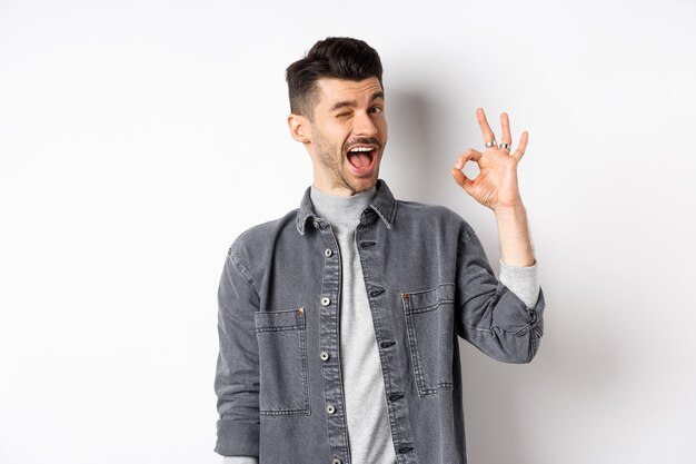Excited handsome guy with moustache winking and showing okay sign smiling pleased assure all good pr...