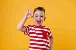 Free photo excited little boy standing and showing okay gesture