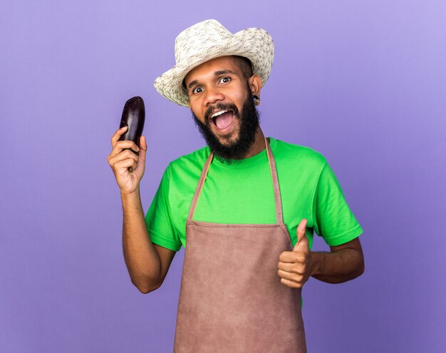 Excited young gardener afro-american guy wearing gardening hat holding eggplant showing thumb up isolated on blue wall