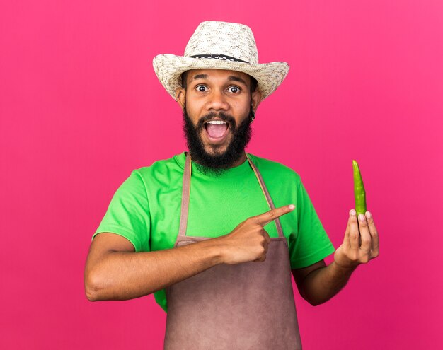 Excited young gardener afro-american guy wearing gardening hat holding and points at pepper isolated on pink wall