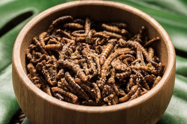 Free photo exotic fried silkworms in a bowl close view