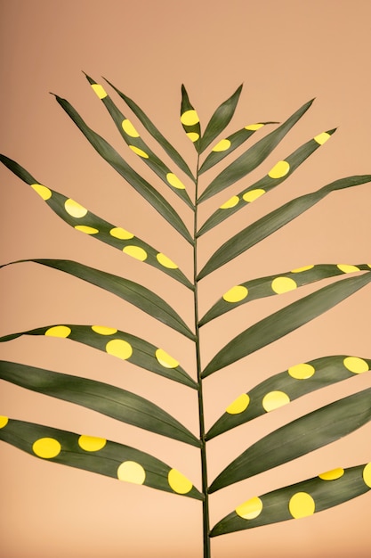 Exotic leaf with yellow dots