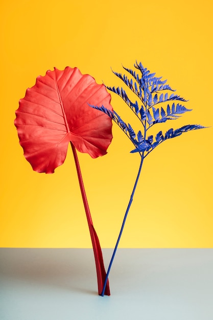 Exotic leaves with yellow background still life