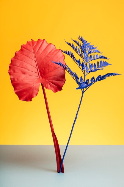 Exotic leaves with yellow background still life