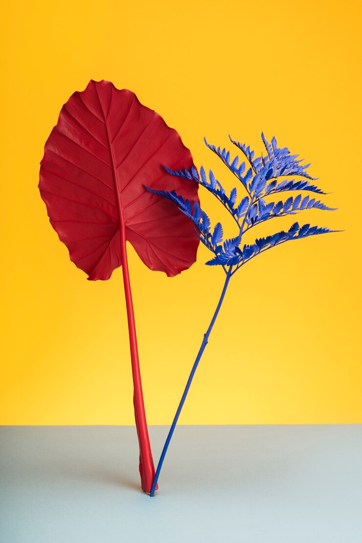 मुफ़्त फोटो exotic leaves with yellow background