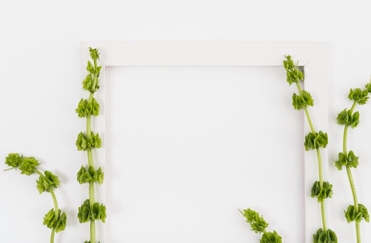 無料Photo フレームの近くにエキゾチックな植物