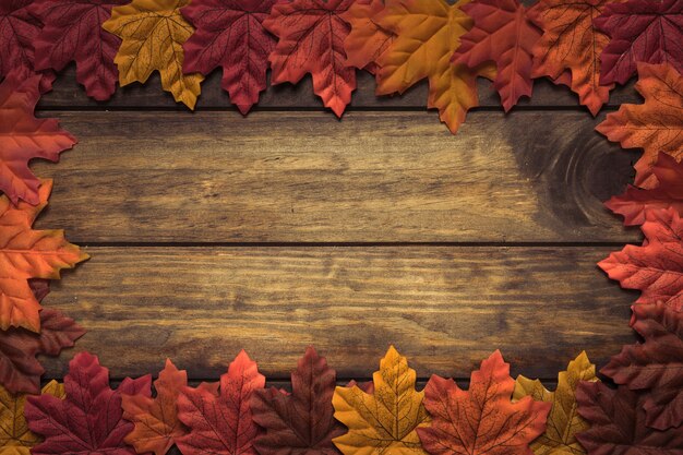 Exquisite autumn maple leaf frame 
