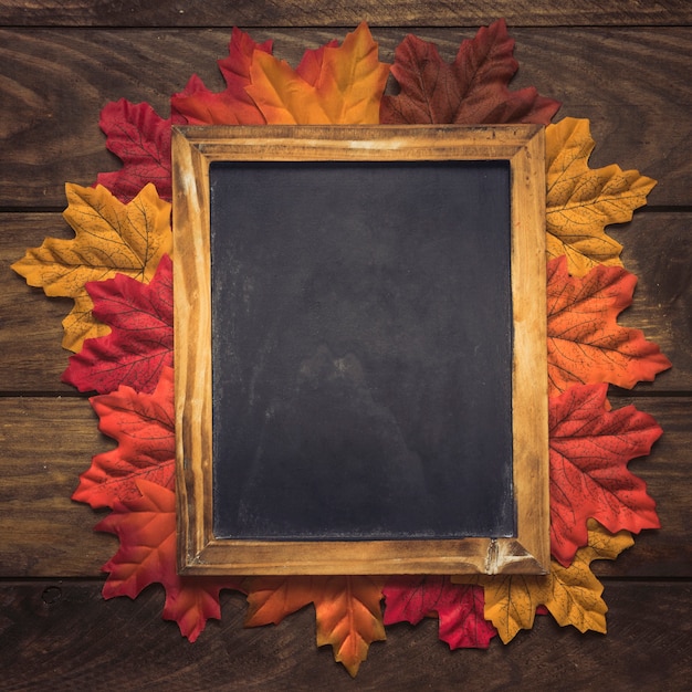 Exquisite empty chalkboard frame with autumn leaves 