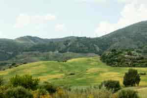 Free photo extra long shot peaceful landscape with trees