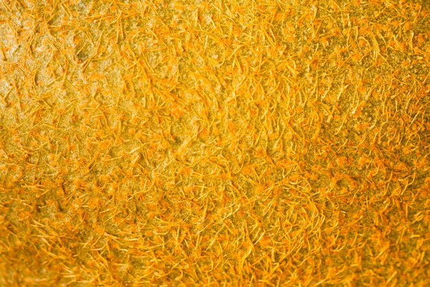 Extreme close-up of orange peel