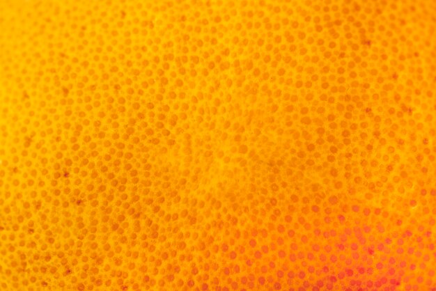 Extreme close-up of an orange peel