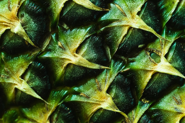 Extreme close-up of a pineapple peel