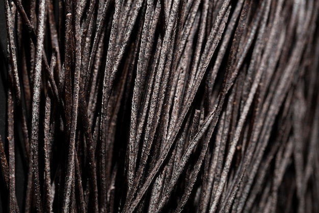 Free photo extreme close-up squid ink pasta all in black