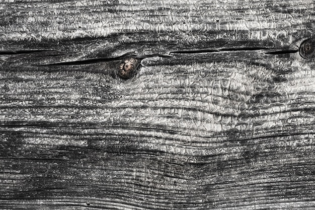 Free photo extreme close-up wooden texture background