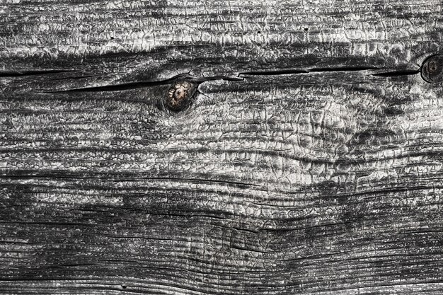 Extreme close-up wooden texture background