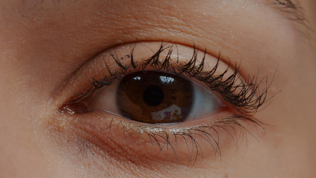 Extreme closeup of human eye in front of camera, blinking and focusing eyesight. Brown eye with eyelid and eyelashes with mascara showing iris, retina and pupil. Natural look. Close up