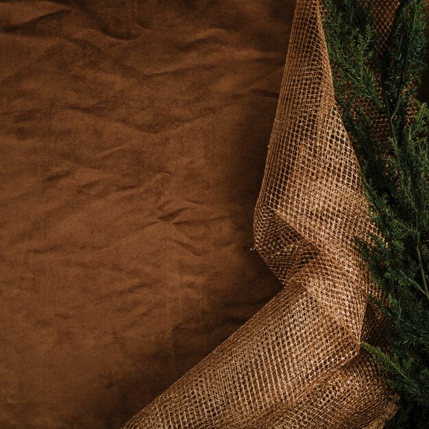 Fabric and fir leaves