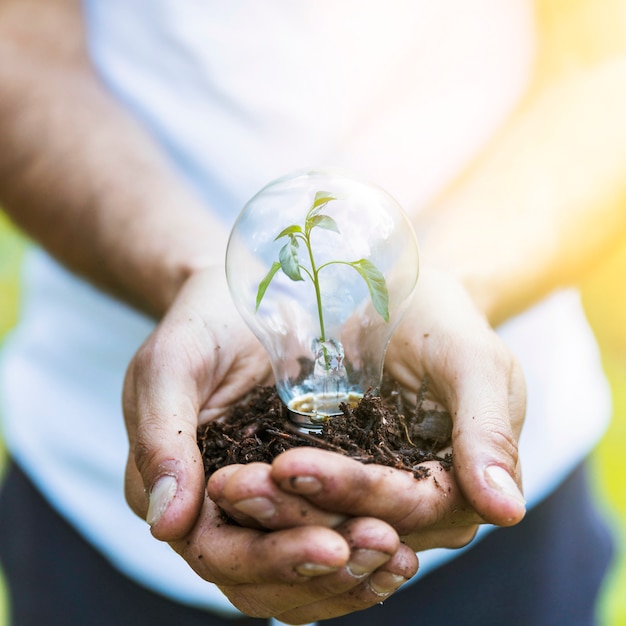 Free photo faceless man keeping bulb with plant