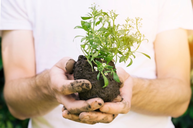 Faceless man with pile of soil and plant