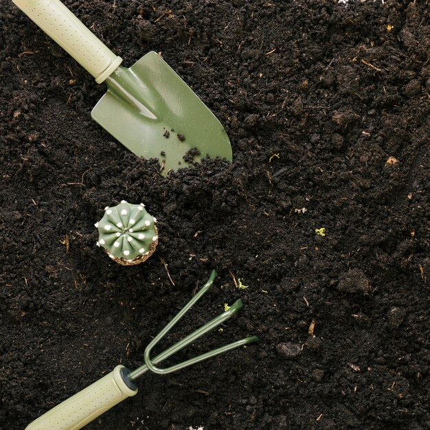 Fake cactus plant and gardening tools above black soil