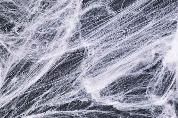 Fake cobweb on dark background 