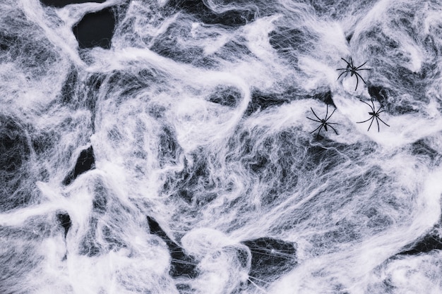 Free Photo fake cobweb and spiders 