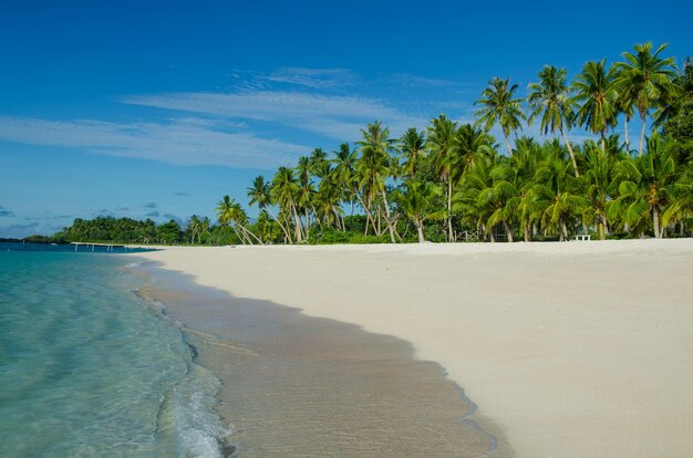 Пляж Фалеалупо в окружении моря и пальм под солнечным светом на Самоа