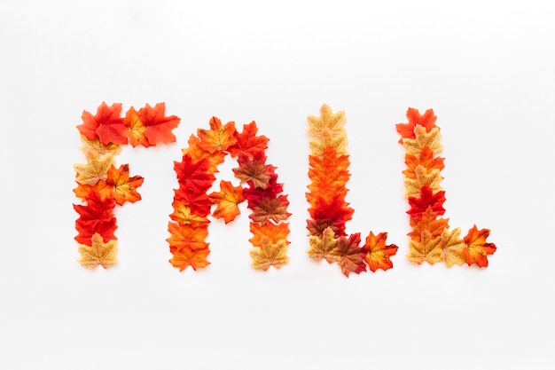 Fall inscription design concept