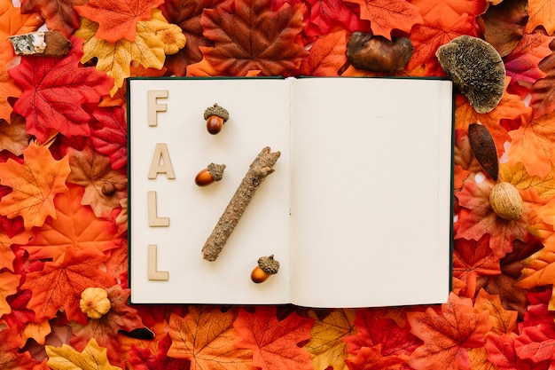 Fall inscription in open book