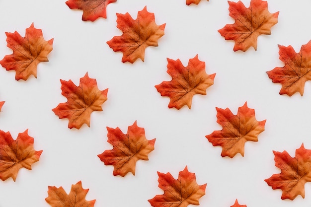 Free photo fall leaves flat lay in texture order