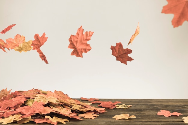 Fall leaves flying under bunch of foliage