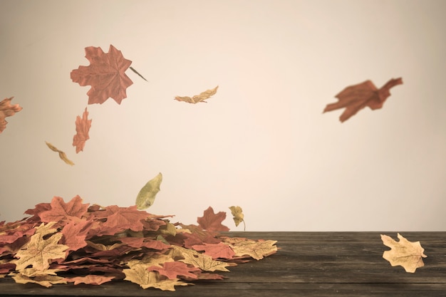 無料写真 風に飛ぶ秋の葉