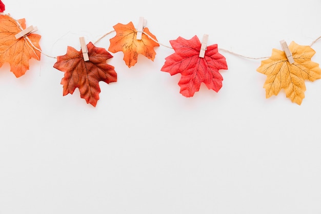 Free photo fall leaves on rope composition