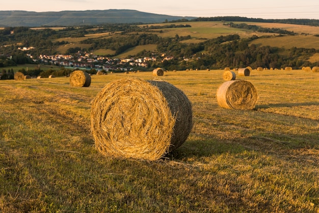 Fall season landscape with rolls of hays
