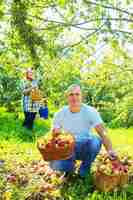 Foto gratuita la famiglia raccoglie le mele in giardino