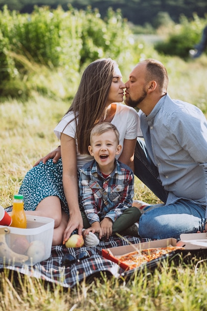 Family having picnic and eating pizza in park