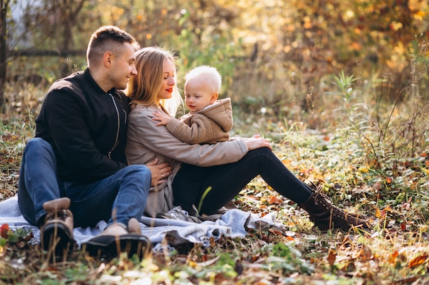秋の公園に息子と小さなピクニックを持つ家族