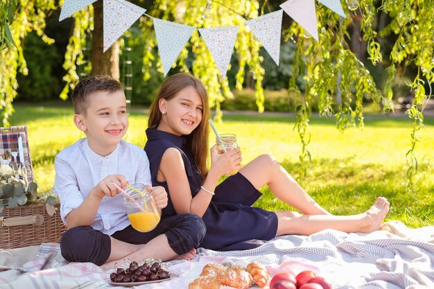 Family picnic