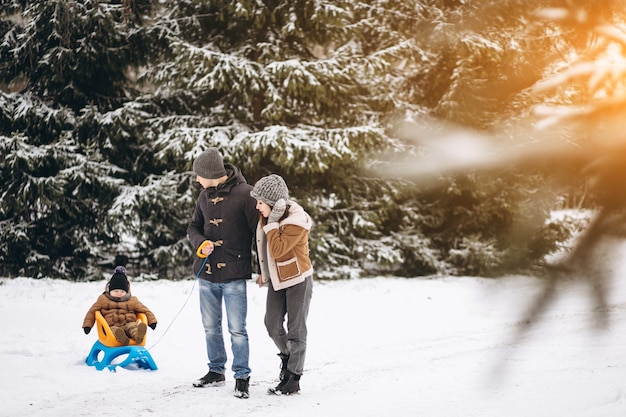 Free photo family on a sleigh ride