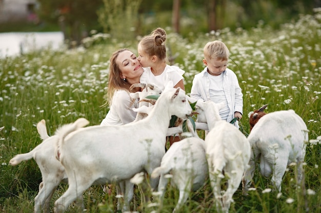 Family spends time on vacation in the village. Boy and girl playing in nature. People walk in the fresh air.