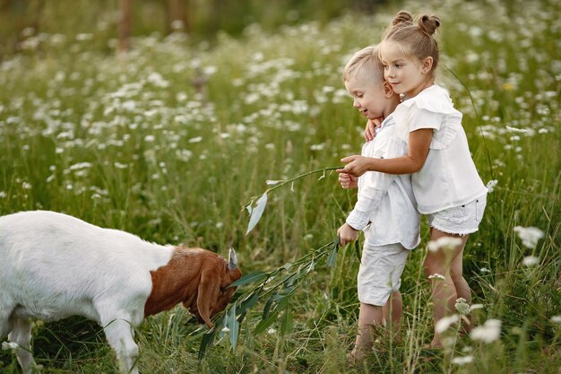 Family spends time on vacation in the village. Boy and girl playing in nature.