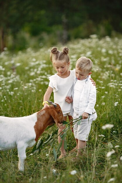 Family spends time on vacation in the village. Boy and girl playing in nature.