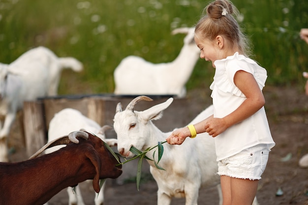 Family spends time on vacation in the village. Child playing in nature. People walk in the fresh air.