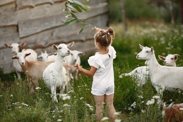 Family spends time on vacation in the village. Child playing in nature. People walk in the fresh air.