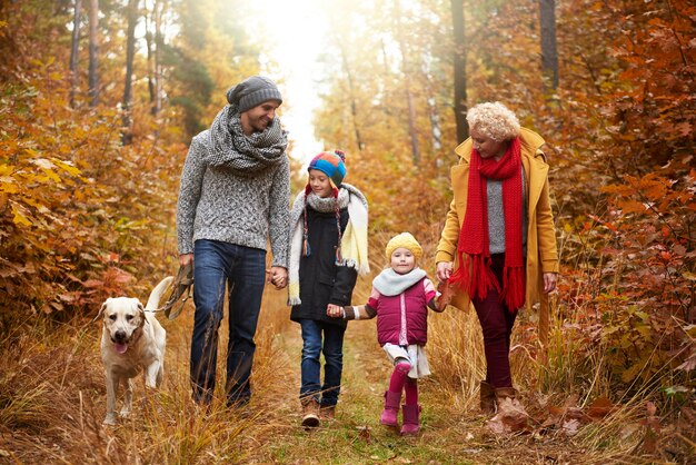 Family walking across the forest