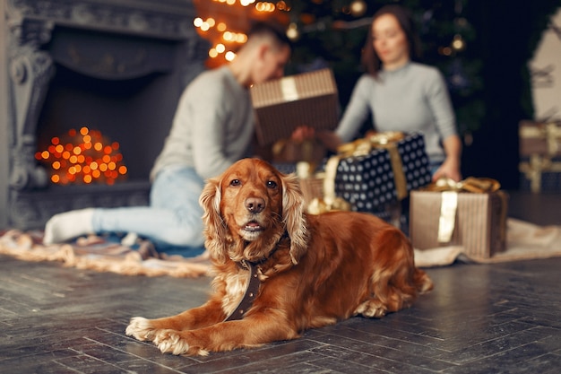 クリスマスツリーの近くに家でかわいい犬と家族