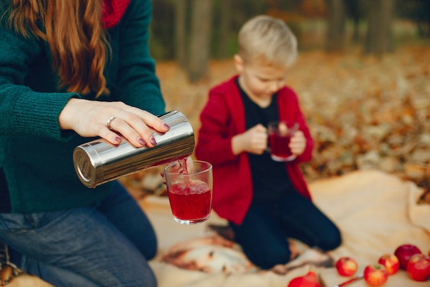 Family with little son in a autumn park